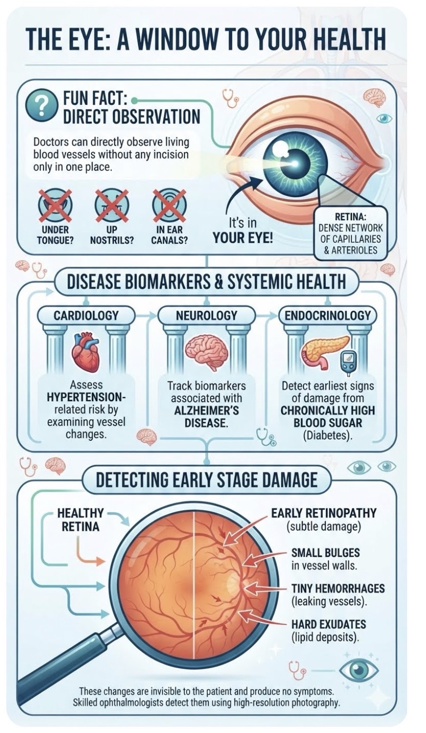 The Eye: A window to your health